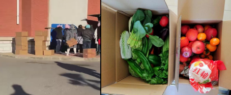 日韩一区二区A片免费观看