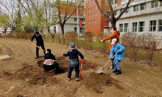 日韩一区二区A片免费观看