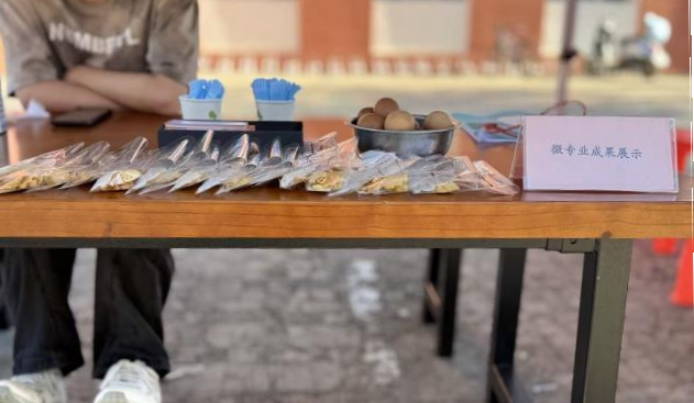 日韩一区二区A片免费观看