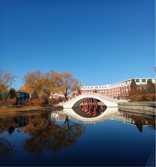 日韩一区二区A片免费观看