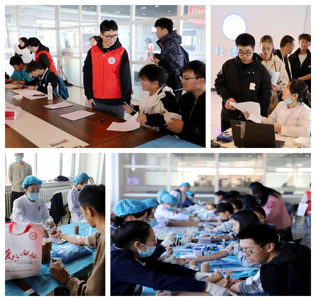 日韩一区二区A片免费观看