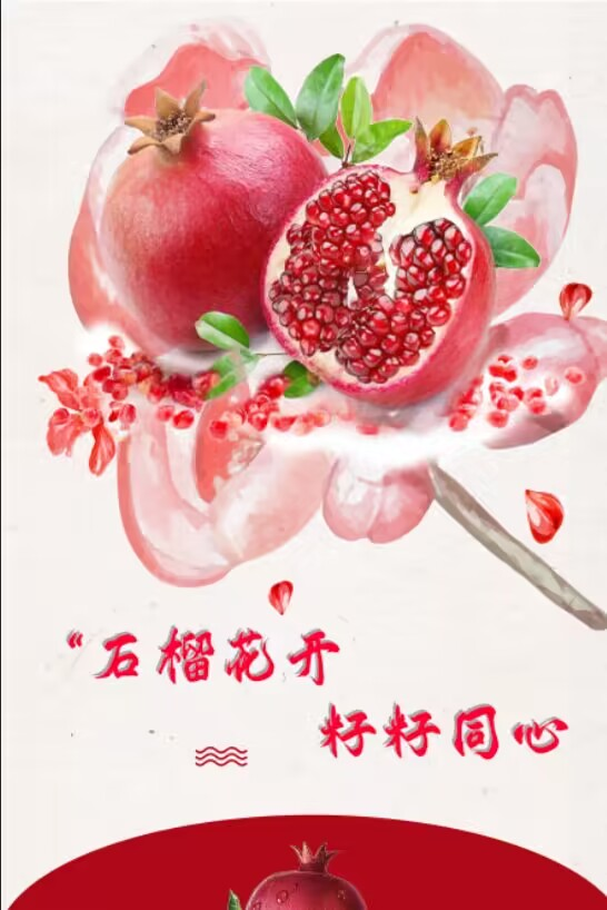 日韩一区二区A片免费观看