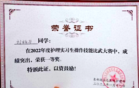 日韩一区二区A片免费观看