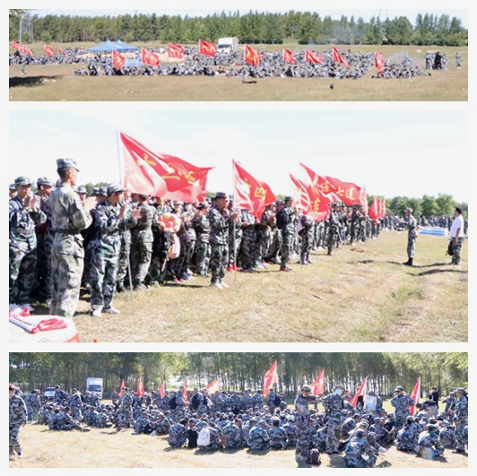 日韩一区二区A片免费观看