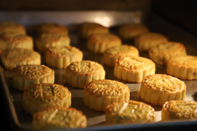 日韩一区二区A片免费观看