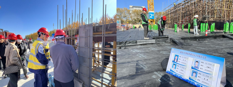 日韩一区二区A片免费观看