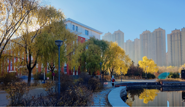 日韩一区二区A片免费观看