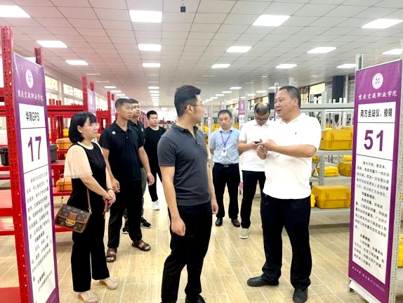 日韩一区二区A片免费观看