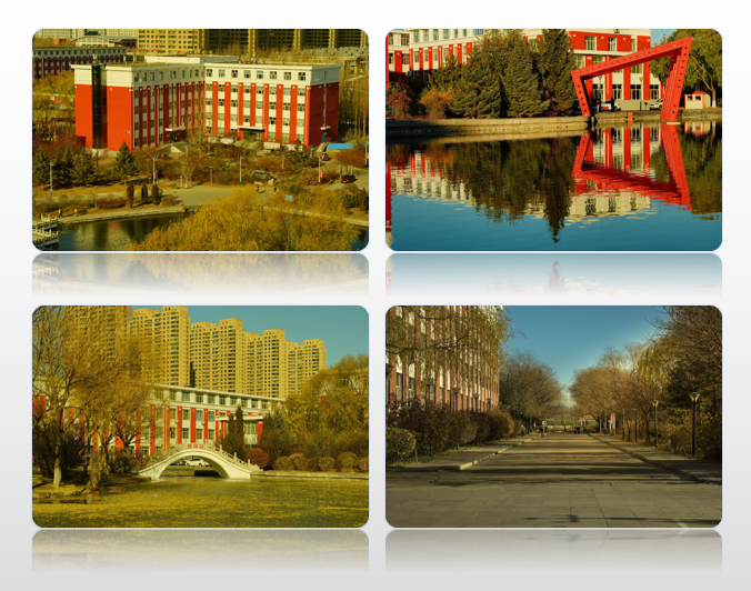 日韩一区二区A片免费观看