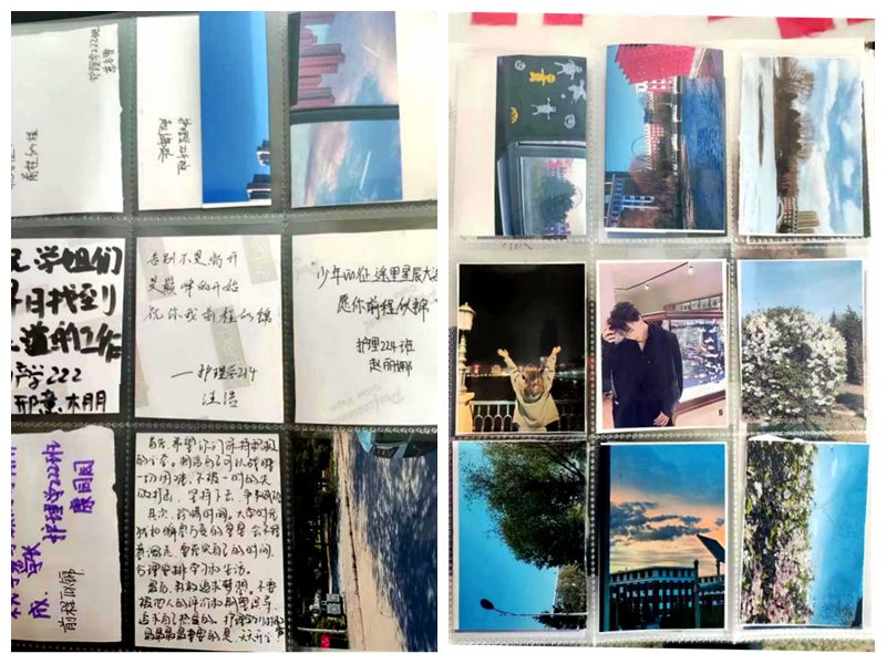 日韩一区二区A片免费观看