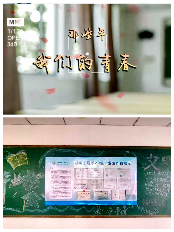 日韩一区二区A片免费观看