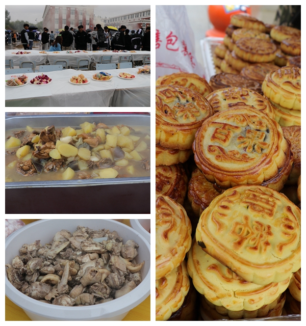 日韩一区二区A片免费观看