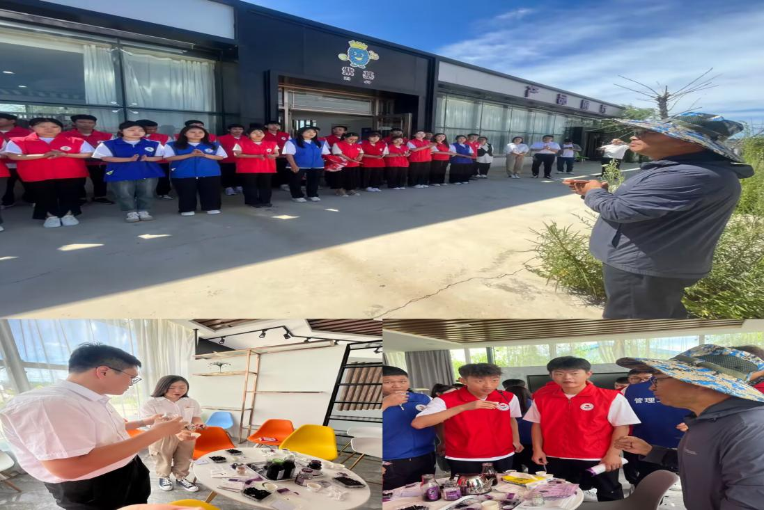 日韩一区二区A片免费观看