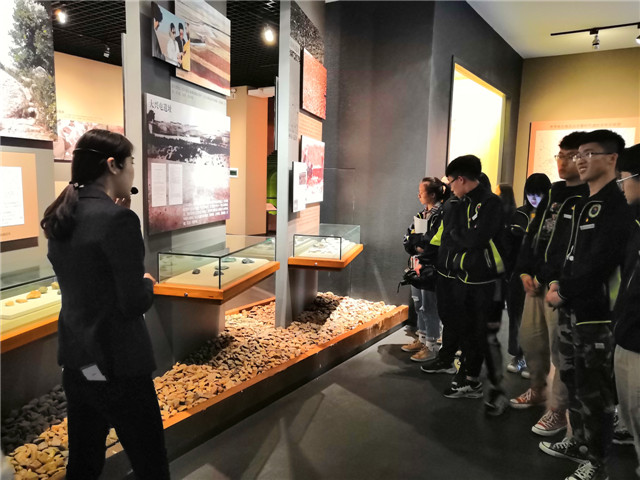 1559613445139870.jpg 5.jpg