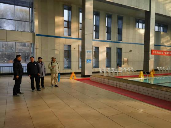 日韩一区二区A片免费观看