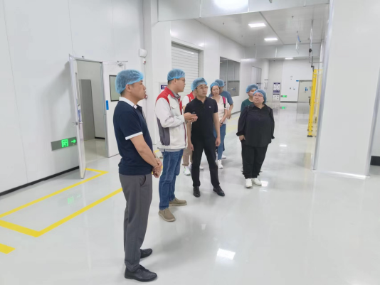 日韩一区二区A片免费观看