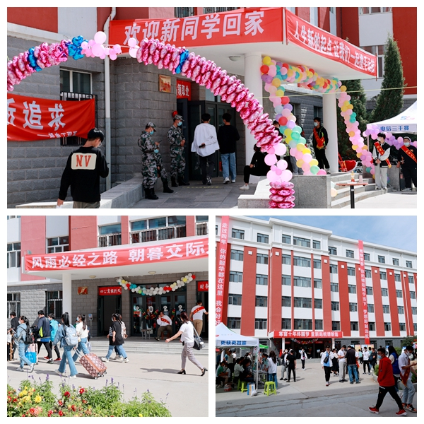 日韩一区二区A片免费观看