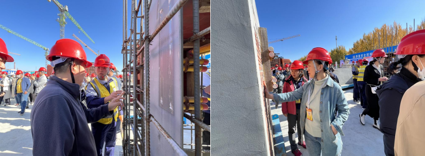 日韩一区二区A片免费观看