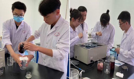 日韩一区二区A片免费观看