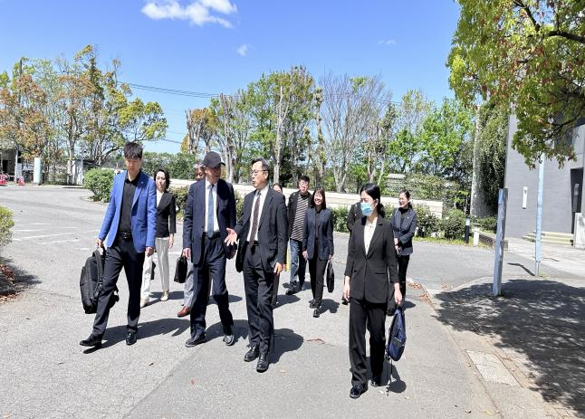 日韩一区二区A片免费观看