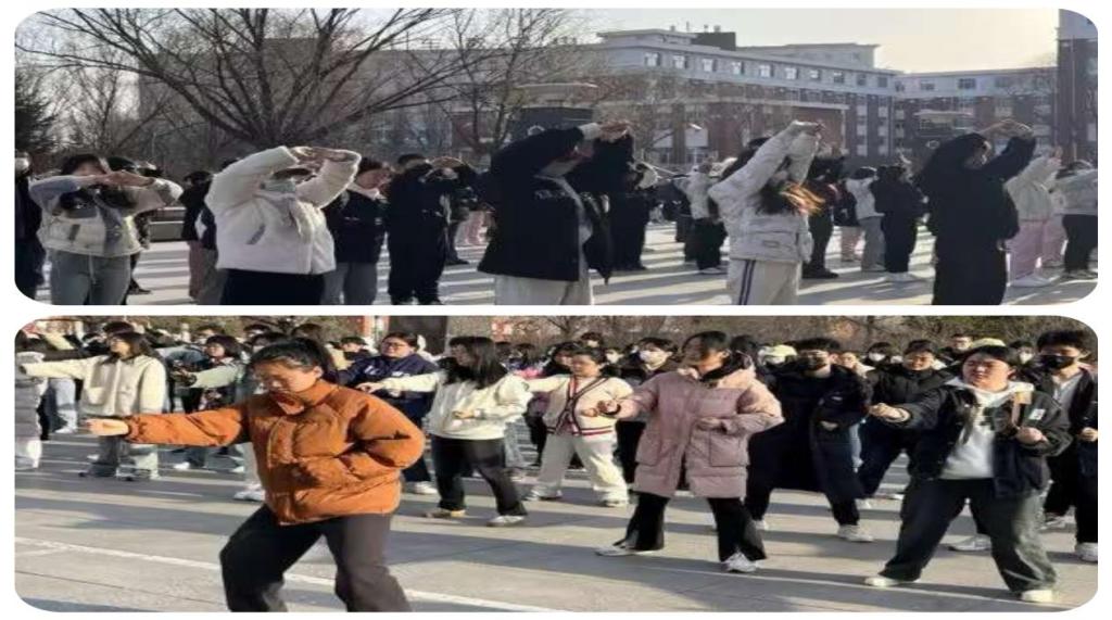 日韩一区二区A片免费观看