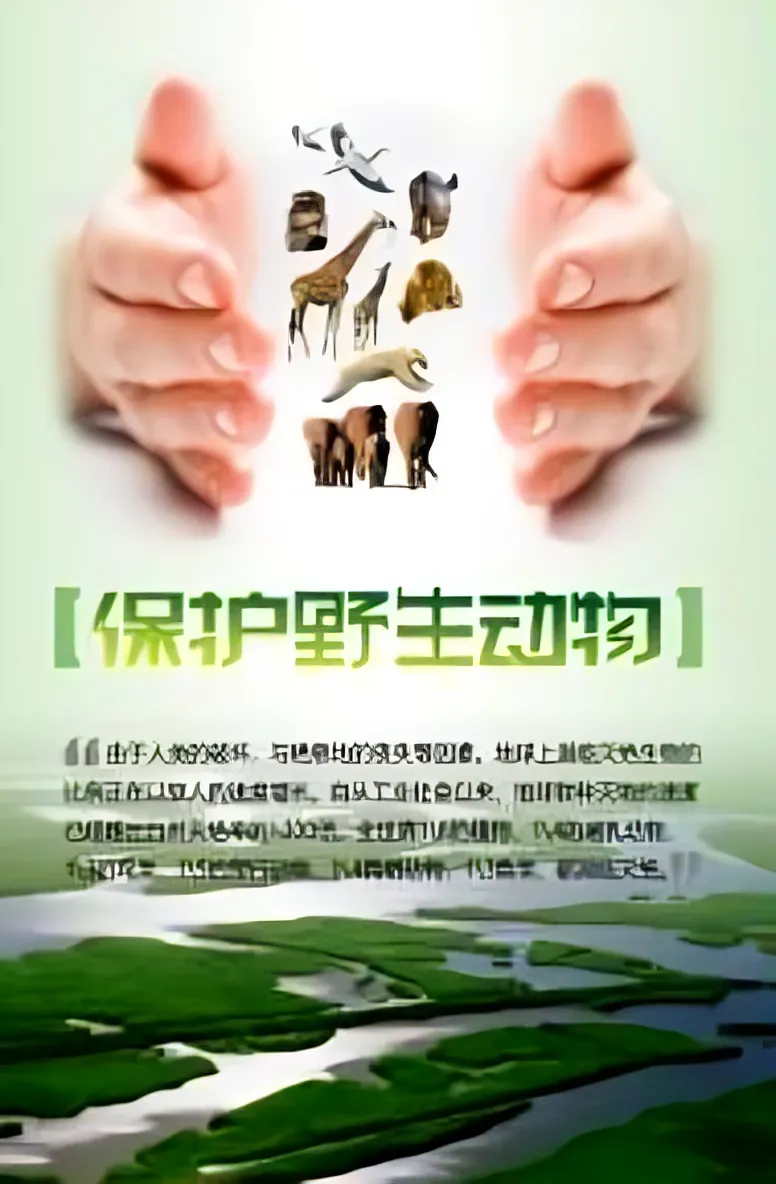 日韩一区二区A片免费观看