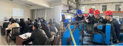 日韩一区二区A片免费观看