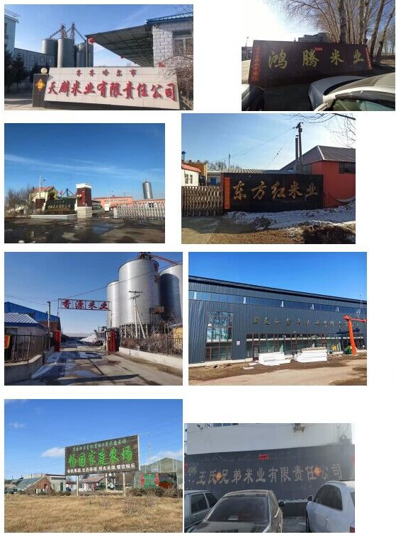 日韩一区二区A片免费观看