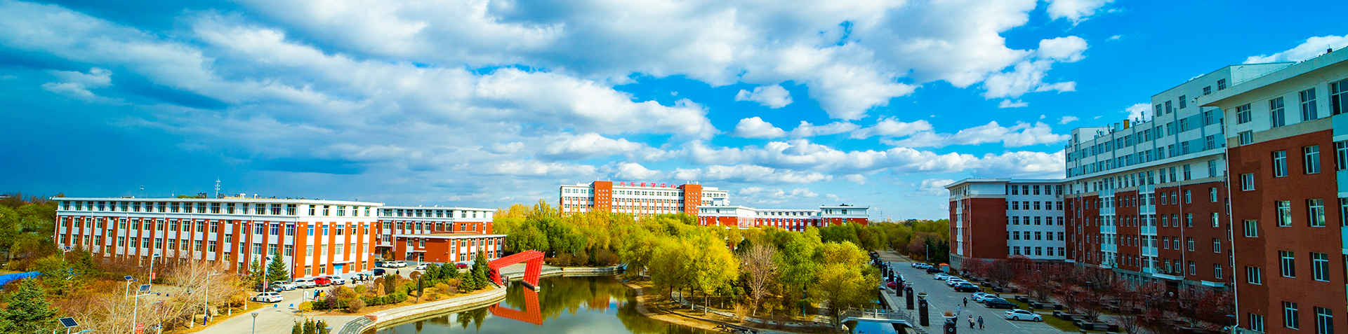 日韩一区二区A片免费观看